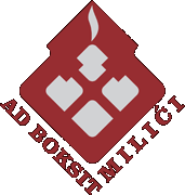 Boksit