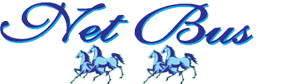 Net Bus Co